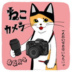 [LINEスタンプ] ねこカメラ