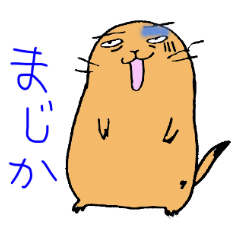 [LINEスタンプ] ゴーゴープレーリードッグ