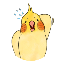 [LINEスタンプ] オカメインコ Qやんと仲間たち