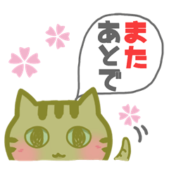 [LINEスタンプ] とりあえずねこ(♂)である