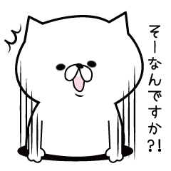 [LINEスタンプ] 謙虚なにゃんこ