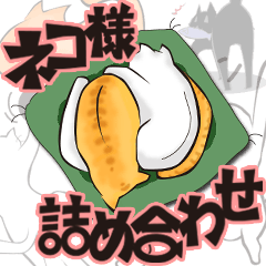 [LINEスタンプ] ネコ大好き！