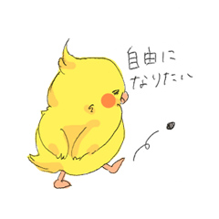 [LINEスタンプ] オカメのたまごちゃん