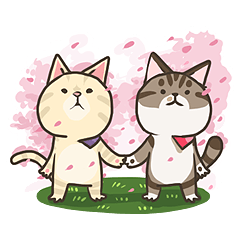 [LINEスタンプ] Adventure Cats