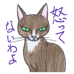 [LINEスタンプ] 邪眼の猫・チョコたん（乙女座）