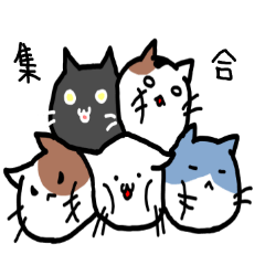 [LINEスタンプ] 5つ子ねこ兄弟