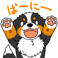 [LINEスタンプ] バーニースタンプの画像（メイン）