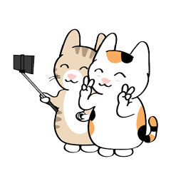 [LINEスタンプ] Chill Chill The Cat