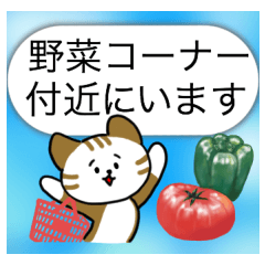 [LINEスタンプ] Mr.and Mrs.Cat