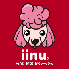 [LINEスタンプ] iinu プードル