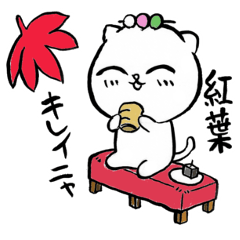 [LINEスタンプ] ねこまんま レジャー編