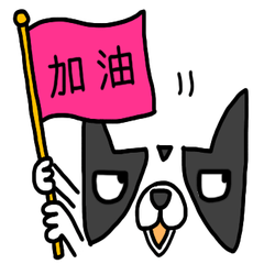 [LINEスタンプ] ボストンテリアの「BOO」