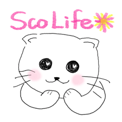 [LINEスタンプ] Life of Scottish Fold cat