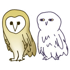 [LINEスタンプ] フクロウのしろちゃん＆めんちゃん