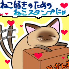 [LINEスタンプ] ねこ好きのためのねこスタンプ