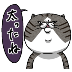 [LINEスタンプ] 媚びないもっちりネコ「野良ドラ雄」