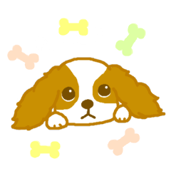 [LINEスタンプ] ゆるかわキャバリア