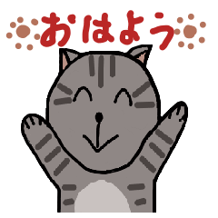 [LINEスタンプ] 猫のキジトラちゃんスタンプ