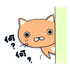 [LINEスタンプ] ねこねこっち