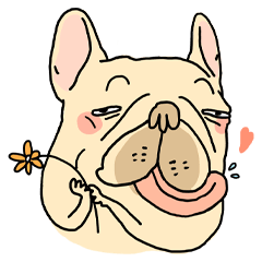 [LINEスタンプ] Half Sugar without ice frenchbulldog