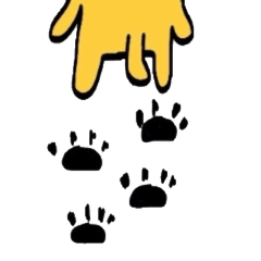 [LINEスタンプ] 2匹ねこ