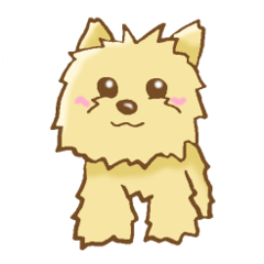 [LINEスタンプ] ヨークシャー・テリア     犬スタンプ