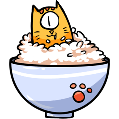 [LINEスタンプ] 隻眼の猫