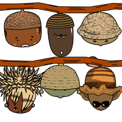 [LINEスタンプ] The acorn family