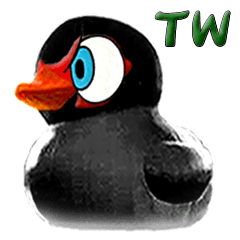 [LINEスタンプ] Taiwan Ginger Duckの画像（メイン）