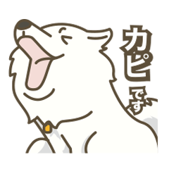 [LINEスタンプ] Japanese Spitz - Ca Pwae