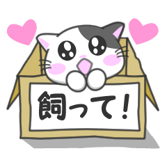 [LINEスタンプ] 捨猫ニャリの日常