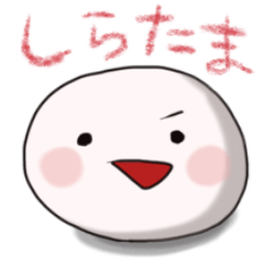 [LINEスタンプ] もちもちしらたまスタンプ