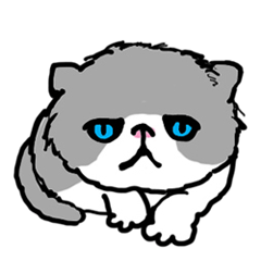 [LINEスタンプ] わたしの不機嫌にゃんこ