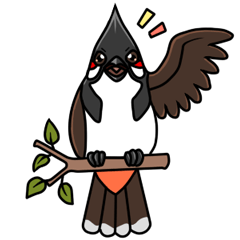 [LINEスタンプ] Red-whiskered bulbul bird