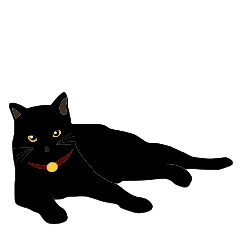 [LINEスタンプ] 黒猫の大ちゃん