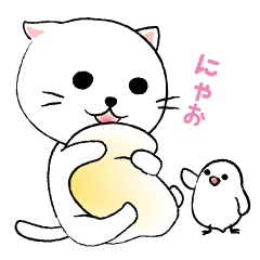 [LINEスタンプ] 白ねこさんと文鳥さん