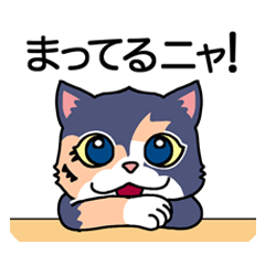 [LINEスタンプ] ねこのベルたん