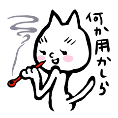 [LINEスタンプ] 白猫のビビ丸