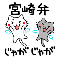 [LINEスタンプ] 宮崎弁のねこ