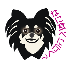 [LINEスタンプ] ブラタンチワワうり