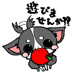 [LINEスタンプ] ちわわわん！