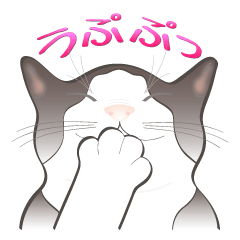 [LINEスタンプ] 白黒猫にゃん