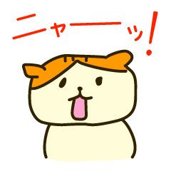 [LINEスタンプ] まいにちスコティッシュフォールド