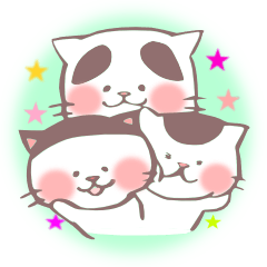 [LINEスタンプ] ハチワレねこ・ぱっつん前髪・個性眉毛猫