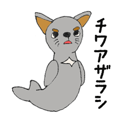 [LINEスタンプ] チワアザラシ