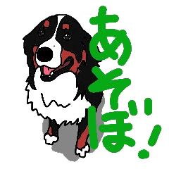 [LINEスタンプ] バーニーズの生活。