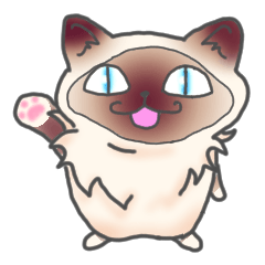 [LINEスタンプ] バーマン猫！！