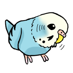 [LINEスタンプ] インコが好きスタンプ