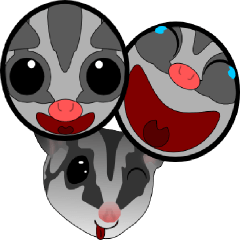 [LINEスタンプ] Classic Grey Sugar Glider Emoticon