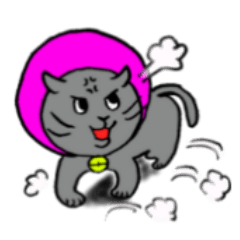 [LINEスタンプ] エリザベスカラーの子猫